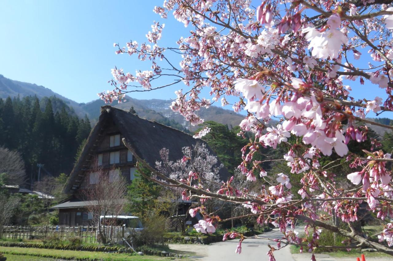 Shirakawago Terrace Hotell Exteriör bild